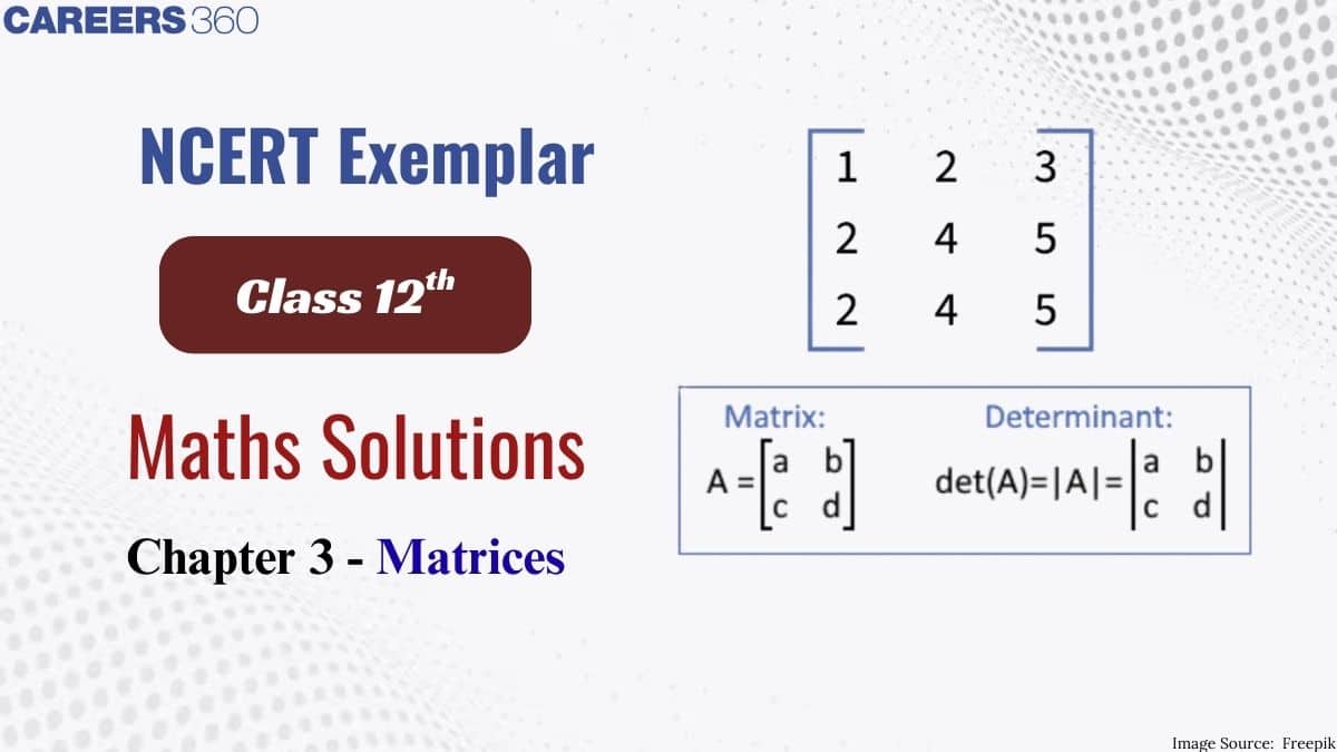 NCERT Exemplar Class 12 Maths Solutions Chapter 3 Matrices